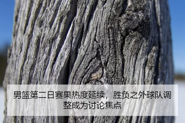 男篮第二日赛果热度延续，胜负之外球队调整成为讨论焦点